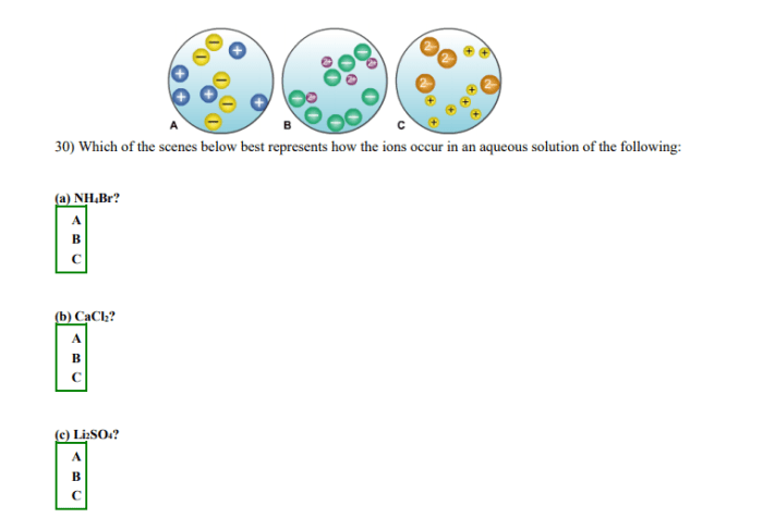 The following picture of an aqueous solution best represents