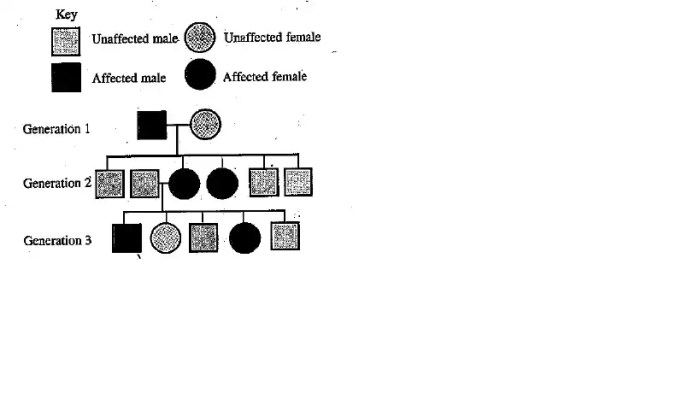 Pedigree genetics problems autosomal worksheets esteem