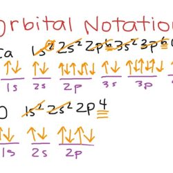 Orbital notation and electron configuration worksheet