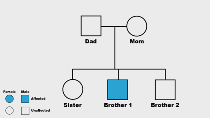 Video tutor session quiz: sex-linked pedigrees